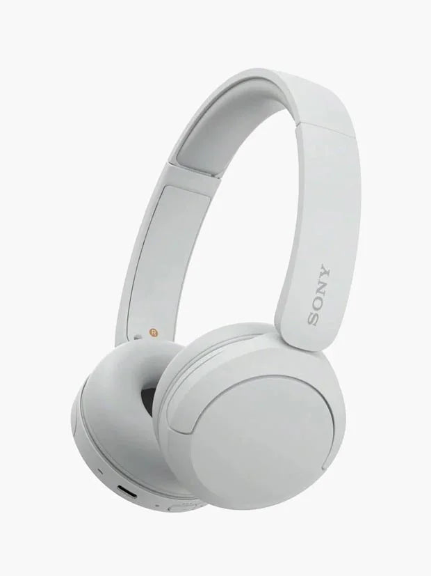 Sony WH-CH520 Headphones