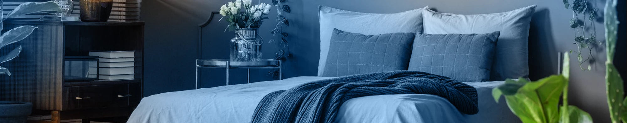 collection-banner-image